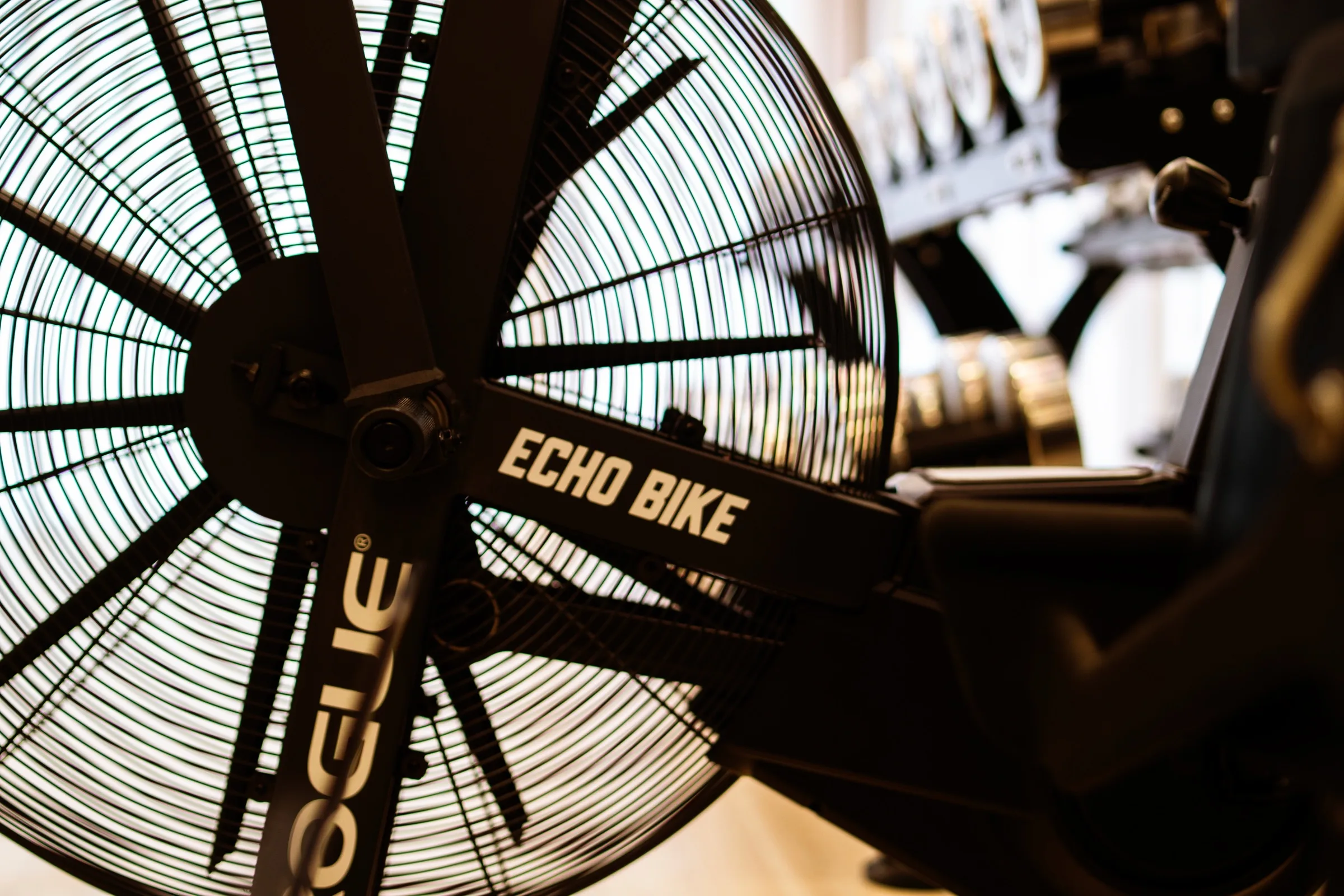 Echo Bike no estúdio